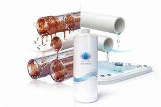 Lotus Clean System Wash richtig anwenden