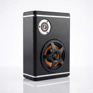 Wasserfester Whirlpool-Lautsprecher in Schwarz mit orangefarbenen Membranen und Chromakzenten – kompaktes 2-Wege-System für den Outdoor-Spa-Bereich.